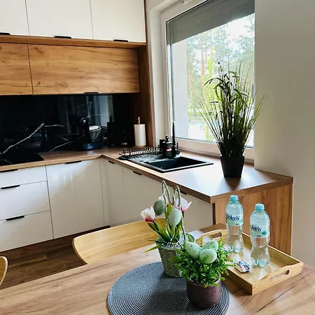 Dębowa 1 Priv Ogród Dwa Tarasy * Milicz